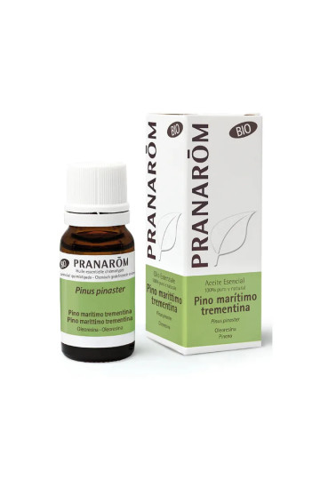Huile Essentielle De Pin Maritime Térébenthine Bio 10ml