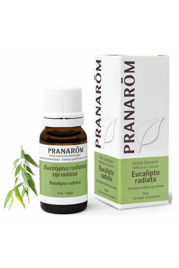 Pranarom Eucalyptus Radiata Essential Oil 10ml