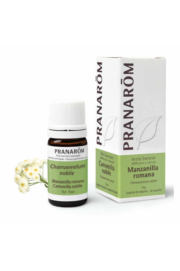 Pranarom Roman Chamomile Flower Essential Oil 5ml