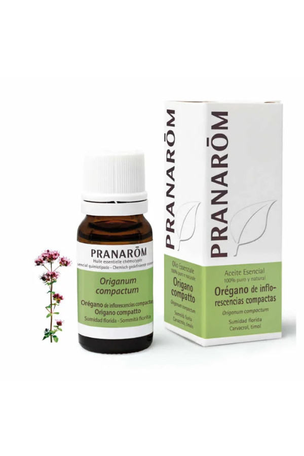 Pranarom Oregano Compact Flowering Top Essential Oil 10ml