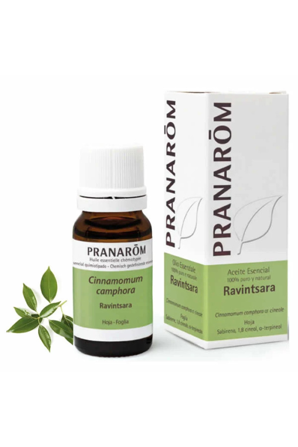 Pranarom Ravintsara Essential Oil 10ml