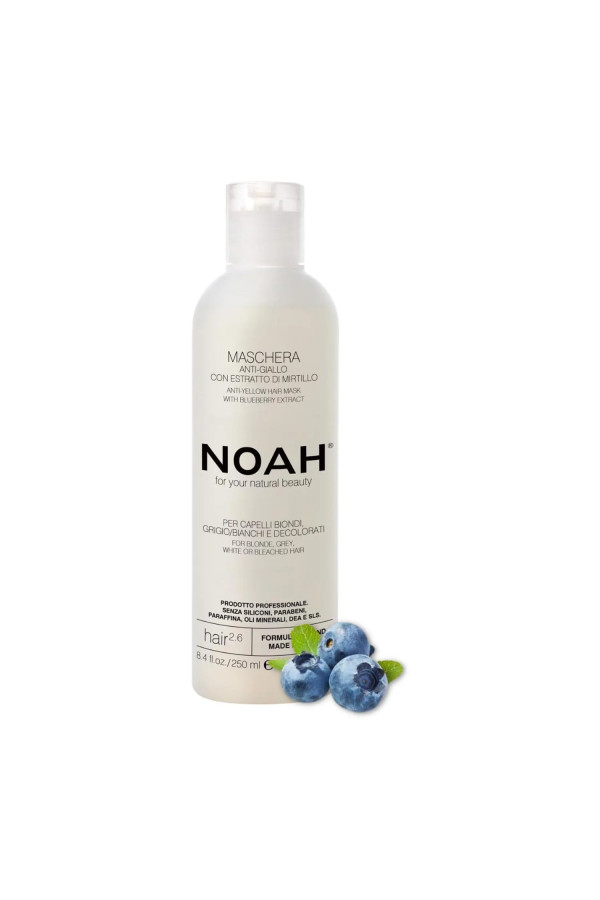 Noah Arandanos Anti-Amarillo Mascarilla Capilar 250ml