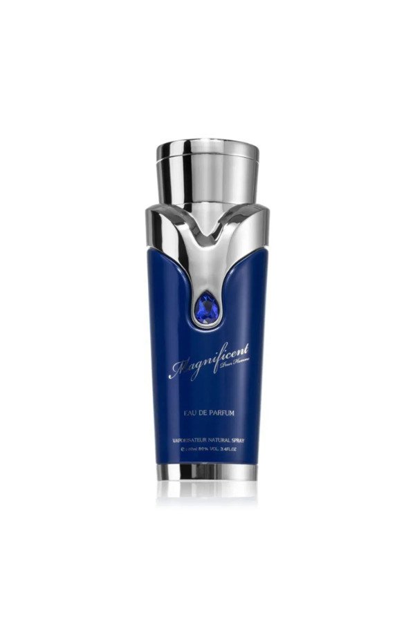 Armaf Magnificent Pour Homme Eau De Parfum 100ml Spray