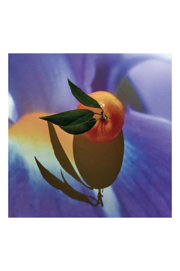 Loewe Solo Elixir 50 Vap M